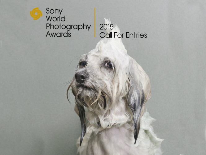 Sony World Photography Awards 2015