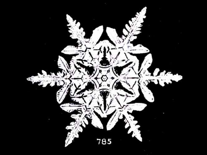 Οι πρώτες φωτογραφίες νιφάδων χιονιού έγιναν το 1885