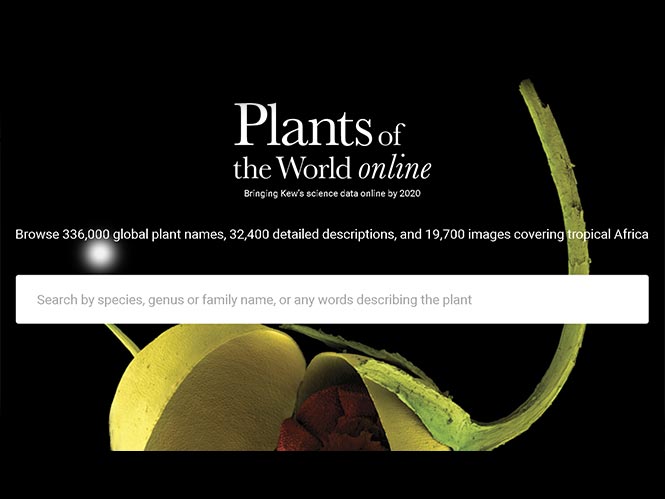 Plants of the World Online: Μία βάση δεδομένων για όλα τα φυτά του κόσμου