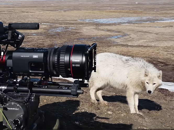 Η Canon παρουσιάζει σε video την ιστορία του Canon CINE-SERVO 50-1000mm T5.0-8.9, αξίας 78.000 δολαρίων