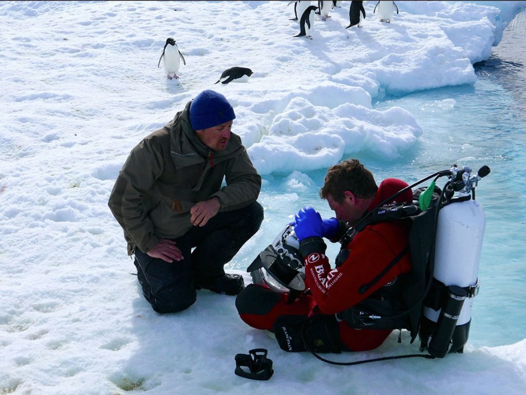 Ακολουθώντας τους Laurent Ballesta και Vincent Munier στην Ανταρκτική