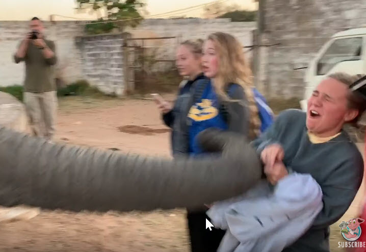 Αυτός ο ελέφαντας δεν θέλει να τον βγάζουν φωτογραφίες!