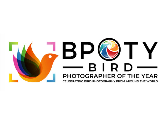 Bird Photographer of the Year 2020: Μέχρι τις 30 Νοεμβρίου 2019 οι συμμετοχές σας
