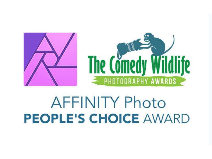 Ψήφισε για το βραβείο κοινού των Comedy Wildlife Photography Awards 2019 (και κέρδισε ένα iPad)