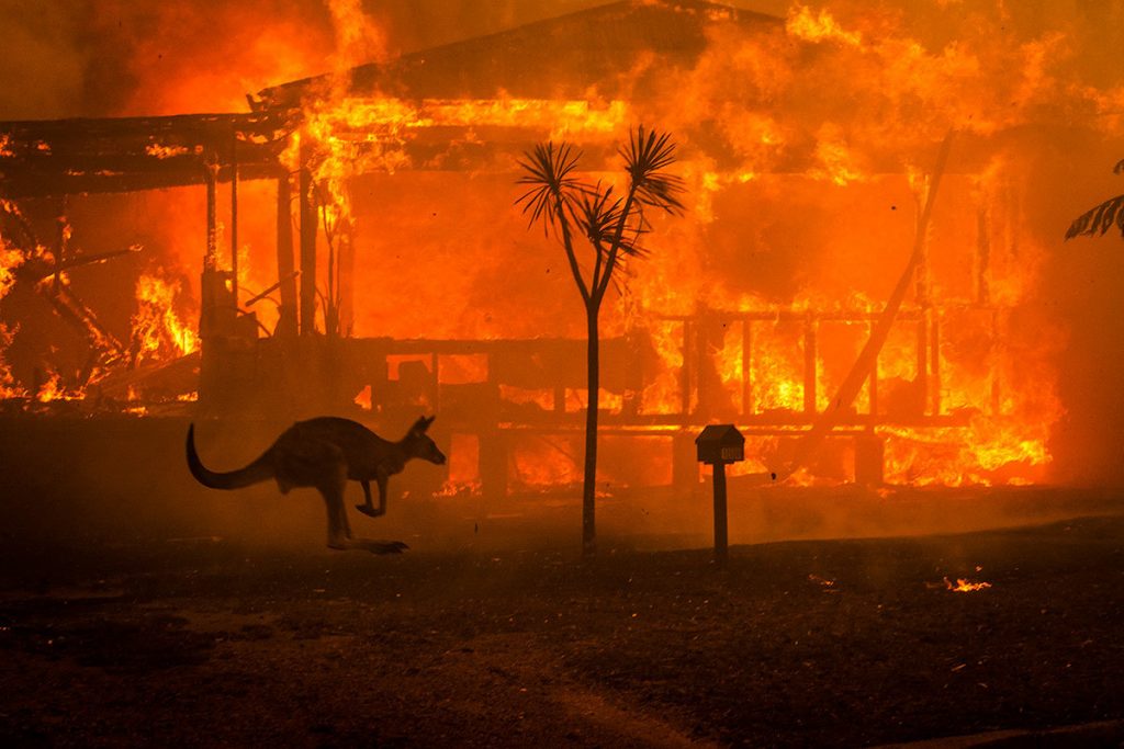 Η ιστορία πίσω από την πιο αντιπροσωπευτική εικόνα του δράματος με τις φωτιές στην Αυστραλία