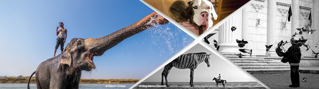 Συναντήσεις – άνθρωποι και ζώα : Διαγωνισμός Φωτογραφίας για το Περιβάλλον από την Olympus!